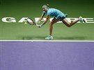 NESTAILA. eská tenistka Petra Kvitová prohrála v prvním zápase na Turnaji...