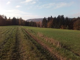 Zkuebn fotka telefonem ZOPO ZP1000S