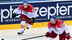 Jaromír Jágr (vpravo) a Tomá Hertl jsou nejvtí eské hvzdy v NHL. Obma se...