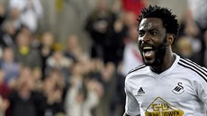 ST�ELEC. Wilfried Bony, úto�ník Swansea, se raduje ze svého druhého gólu do...