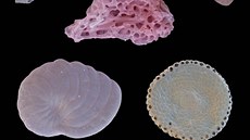 Výsledná fotografie pti zrnek narovlého písku ze zátoky Balos na Krét....