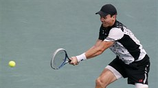 Tomá Berdych ve tvrtfinále na turnaji v Paíi