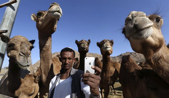 Mu si dlá selfie s velbloudy (1. listopadu 2014).