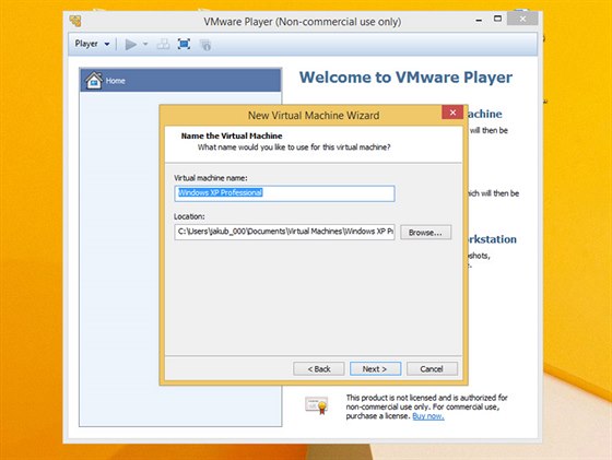 VMware Player