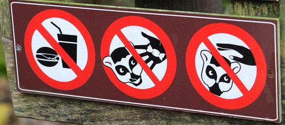 Tabule zakazující krmení zvíat jsou v celém areálu zoo. Personál zahrady ale...