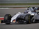 Valtteri Bottas ve Velké cen USA formule 1. 