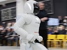 Science centrum Techmania v Plzni má na pár dní zapjené dva roboty Asimo...