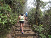 Mt. Kinabalu International Climbathon 28th summit race