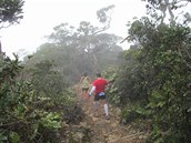 Mt. Kinabalu International Climbathon 28th summit race