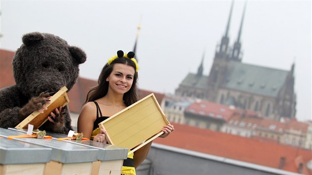 Na střeše hotelu International v centru Brna se usídlilo zhruba dvě stě tisíc včel.