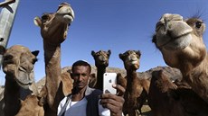 Mu� si d�lá selfie s velbloudy (1. listopadu 2014).