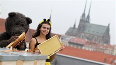 Na střeše hotelu International v centru Brna se usídlilo zhruba dvě stě tisíc...