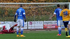 Vla�imský gólman Vilém Fendrich práv� inkasuje gól od Pavla Tvarohy z...