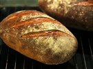 eský emeslný chleba se odliuje tmaví krkou ne prmyslov vyrábné...