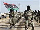 Pehlídka libyjské armády v Tripolisu (12. listopadu 2014).