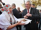 Prezidenta vítaly v Opav eny ve slezském kroji. Chléb Miloi Zemanovi podle...