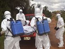 Zdravotníci nakládají tlo eny, která zemela na ebolu v liberijské vesnice...