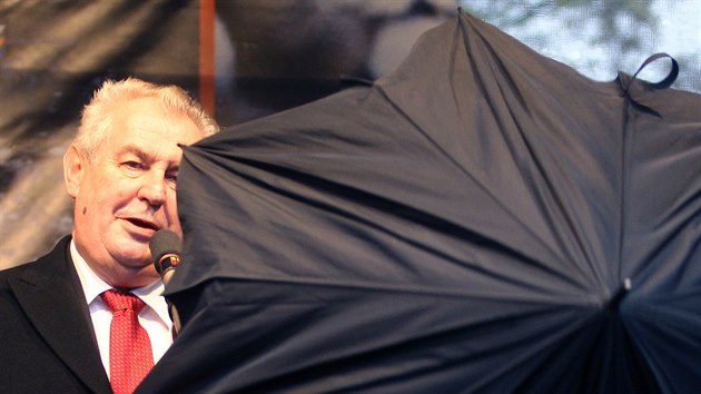 ZA DETNKEM. Milo Zeman bhem projevu k astnkm vzpomnkov akce k 25. vro udlost Sametov revoluce v Praze na Albertov. (17. listopadu 2014)