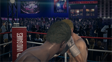 Real Boxing