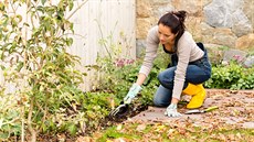 Na podzim pot�ebují zazimovat i kv�tinové záhony, poctivá p�íprava na zimu se...