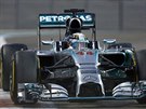 Lewis Hamilton jede za titulem ve Velké cen Abú Zabí.