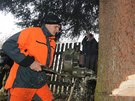 V Nespekách na Beneovsku devorubci pokáceli vánoní strom, který zamíí na