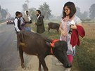 Bhem dvoudenního rituálu Nepálci zabijí klidn i stovky tisíc zvíat. Letos se