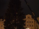 Pevoz stromu na Václavské námstí