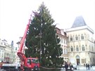 Zdobení vánoního stromu na Staromstském námstí