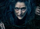 Meryl Streepová ve filmu arovný les