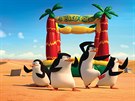 Z animovaného filmu Tuáci z Madagaskaru