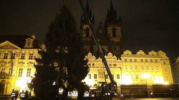 Vnon strom pro Prahu pokceli letos v Nespekch na Beneovsku. Do Prahy dorazil o dva dny pozdji v ter 25. listopadu. Jeho postaven a ukotven na Staromstskm nmst trvalo zhruba dv hodiny.