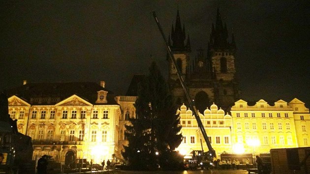 Vnon strom pro Prahu pokceli letos v Nespekch na Beneovsku. Do Prahy dorazil o dva dny pozdji v ter 25. listopadu. Jeho postaven a ukotven na Staromstskm nmst trvalo zhruba dv hodiny.