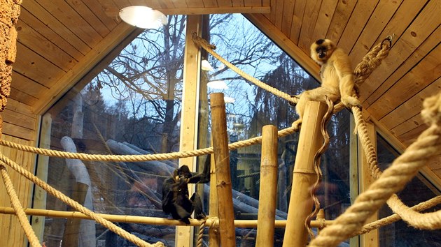 Oteven novho Asijskho pavilonu v jihlavsk zoologick zahrad.
