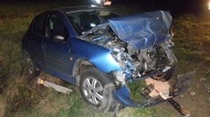 Srá�ka dvou peugot�, která zablokovala dopravu na Hodonínsku (27. listopadu...