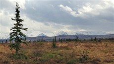 Pohled na vrcholky v národním parku Denali ze Stampede Trail