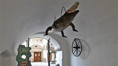V podloubí radnice visí brnnský drak, tedy vlastn krokodýl, kterého statení...