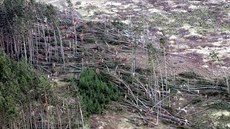 Po orkánu Kyrill zstalo na umav desítky tisíc krychlových metr znieného lesa.