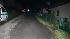 �idi�ka p�ejela opilého mu�e v Krhové na místní komunikaci v ulici Pod Kamen�m.