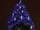 Rozsvícení vánoního stromu na námstí v Jihlav