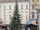 Vánoní strom na námstí Svobody v Brn