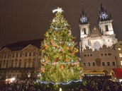 Na Staroměstském náměstí vánoční strom.