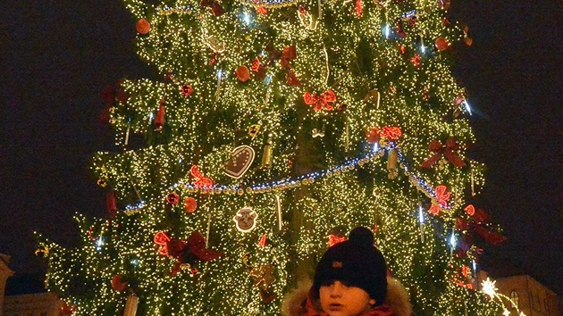Na Staromstském námstí vánoní strom.