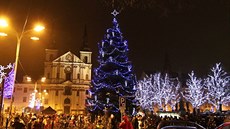 Rozsvícení vánoního stromu na námstí v Jihlav