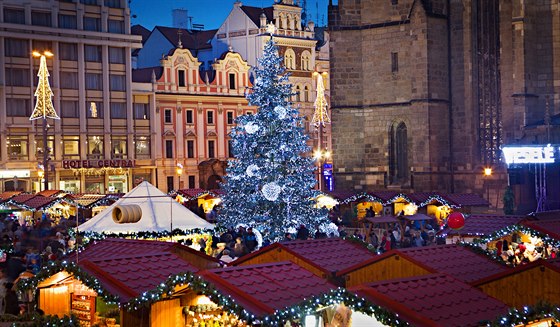 Vánoní strom v centru Plzn