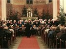 Výtek ze vstupného na tradiní vánoní koncert v Kladn bude vnován dtským