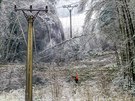Popadané stromy na elektrické vedení u Rtenína na Chrudimsku.