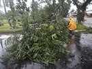 Tajfun Hagupit na Filipínách poráel stromy a niil obydlí.
