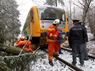 Osobní vlak narazil do spadlého stromu na elezniní trati u Radovic na...