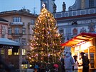Vánoní strom v centru eských Budjovic